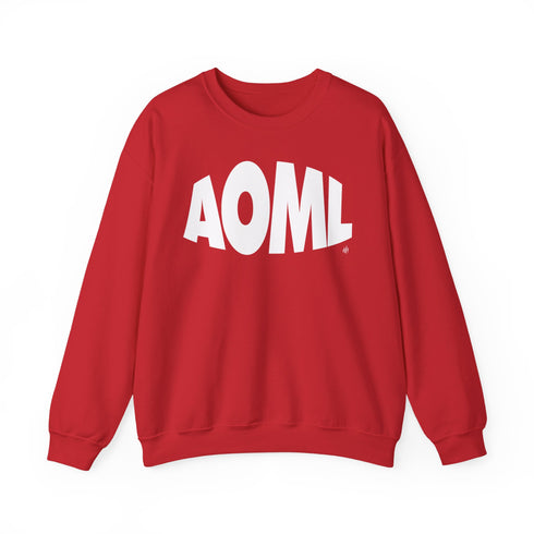 AOML sweatshirt, delta