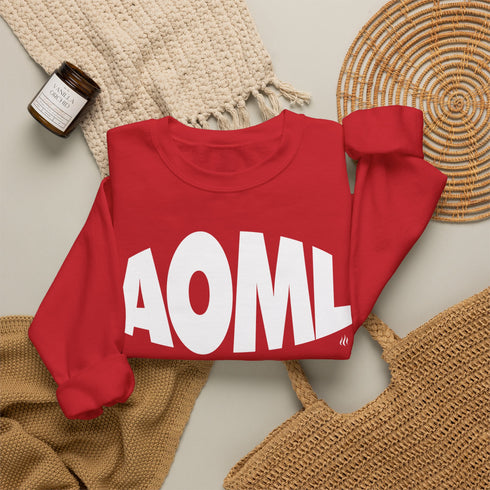 AOML sweatshirt, delta