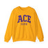 ACE Club sweatshirt, omega