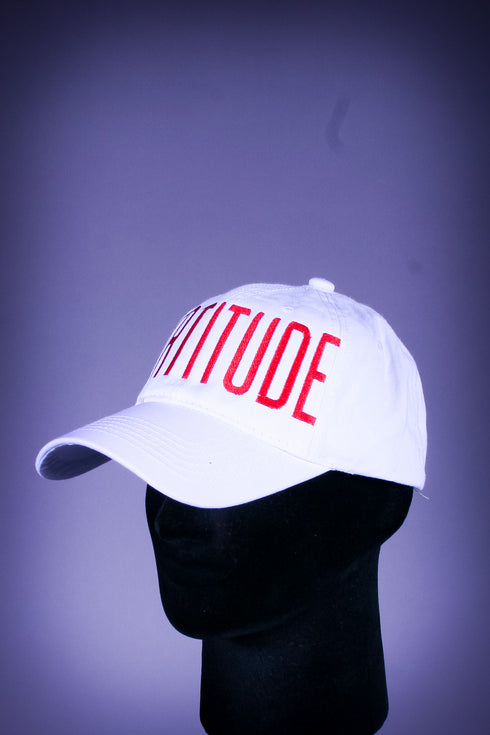 FORTITUDE polo dad cap, white