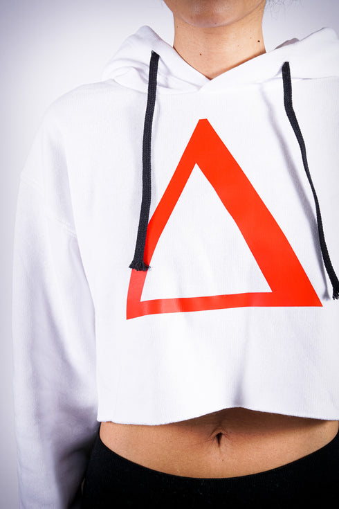 Big Delta hoodie