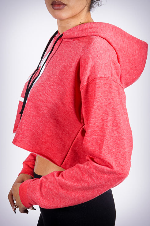 Big Delta hoodie
