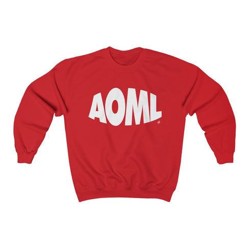 AOML sweatshirt, delta