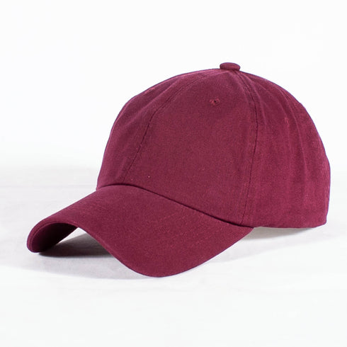 Deltas VOTE! polo dad cap