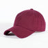 Deltas VOTE! polo dad cap