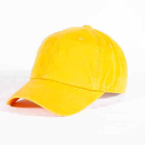 SGRhos VOTE! polo dad cap