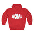 AOML hoodie, delta