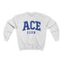 ACE Club sweatshirt, zeta