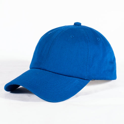 Zetas VOTE! polo dad cap