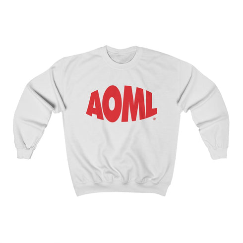 AOML sweatshirt, delta