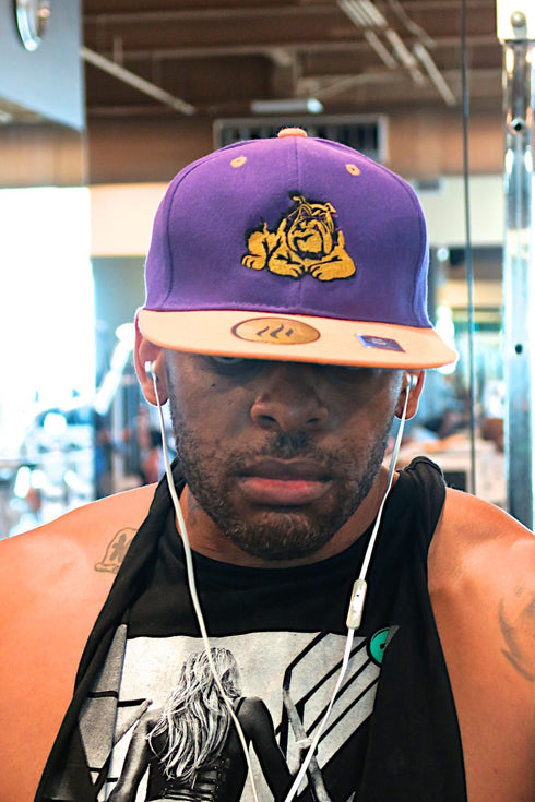 Get @ Me Dawg snapback, purple/gold