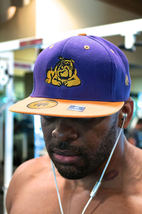 Get @ Me Dawg snapback, purple/gold