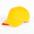 Omegas VOTE! polo dad cap