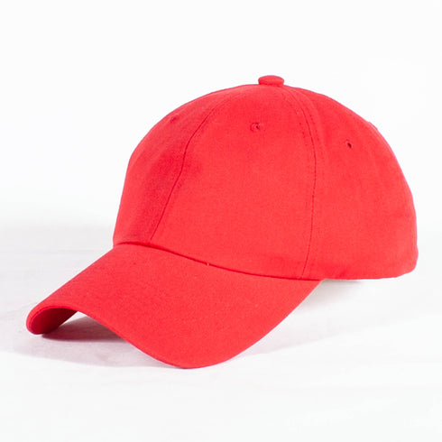 Nupes VOTE! polo dad cap