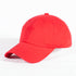 Nupes VOTE! polo dad cap