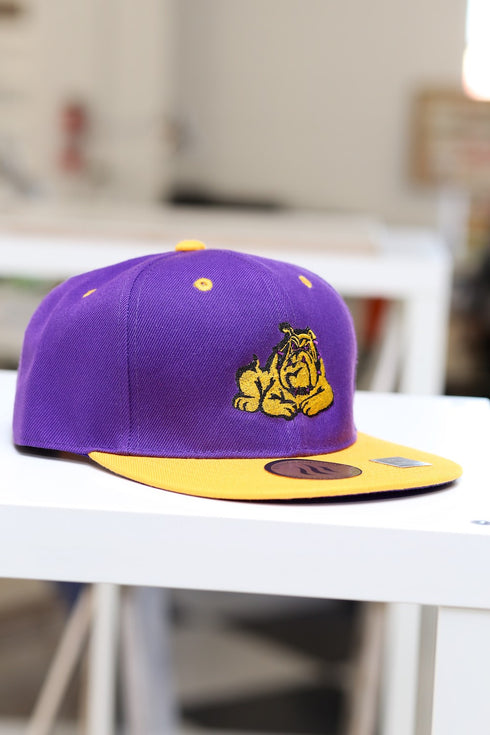 Get @ Me Dawg snapback, purple/gold