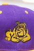 Get @ Me Dawg snapback, purple/gold