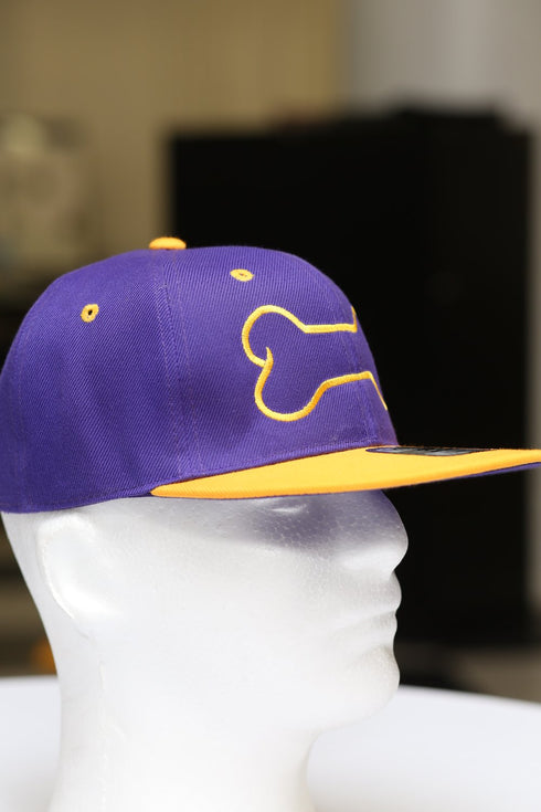 Dawg Bone snapback, purple/gold