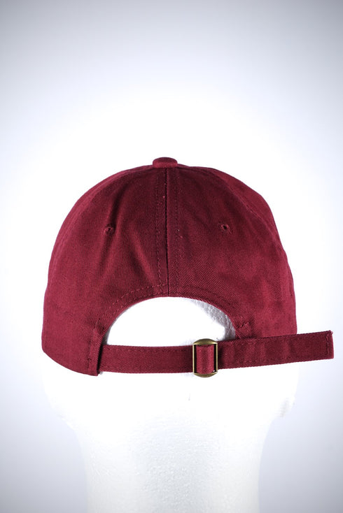∆ polo dad cap, crimson