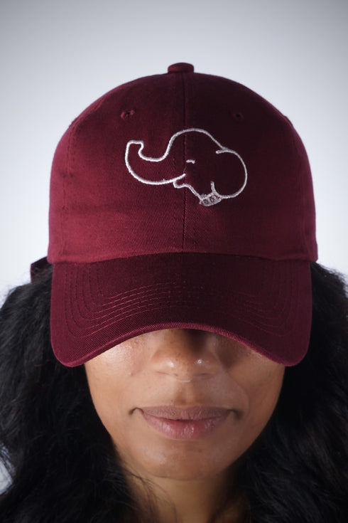 Trunks Up polo dad cap, crimson