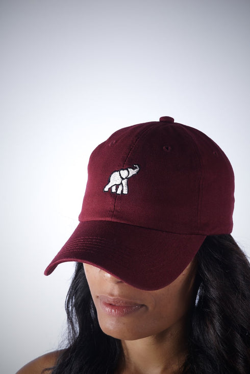 High Goals polo dad cap, crimson