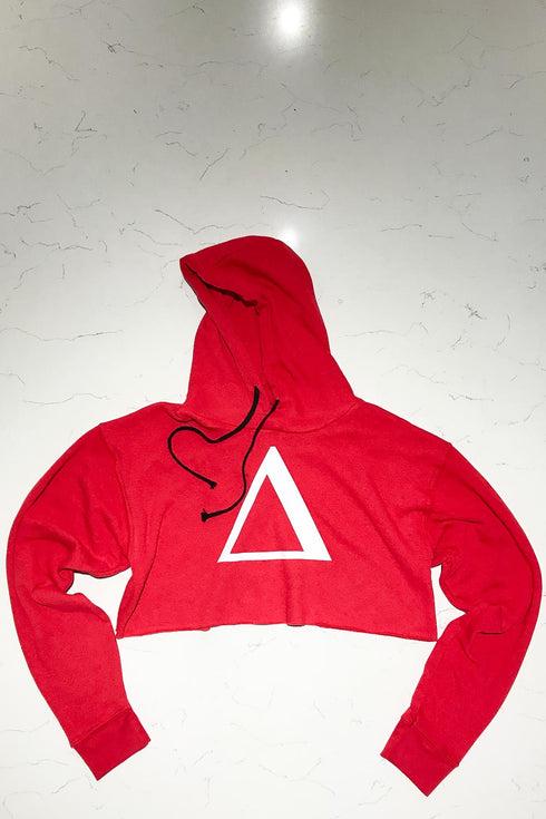 Big Delta hoodie