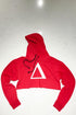 Big Delta hoodie