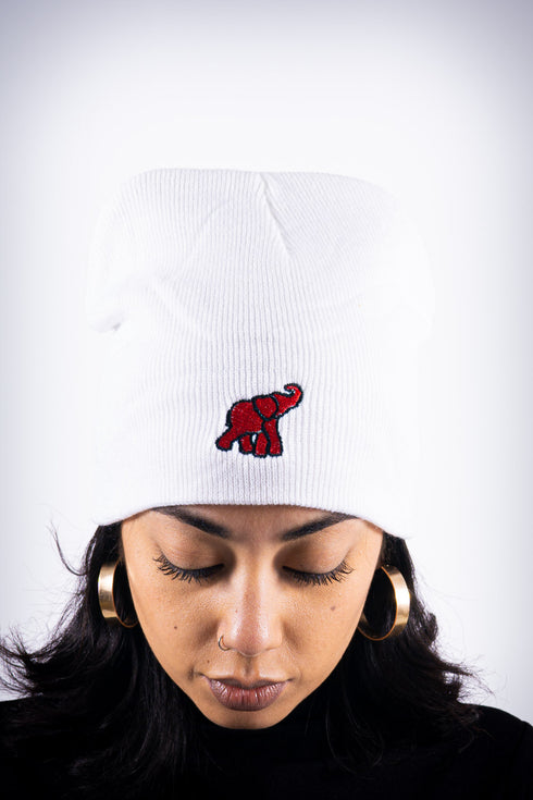 High Goals skullie beanie, white