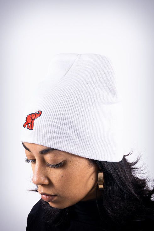 High Goals skullie beanie, white