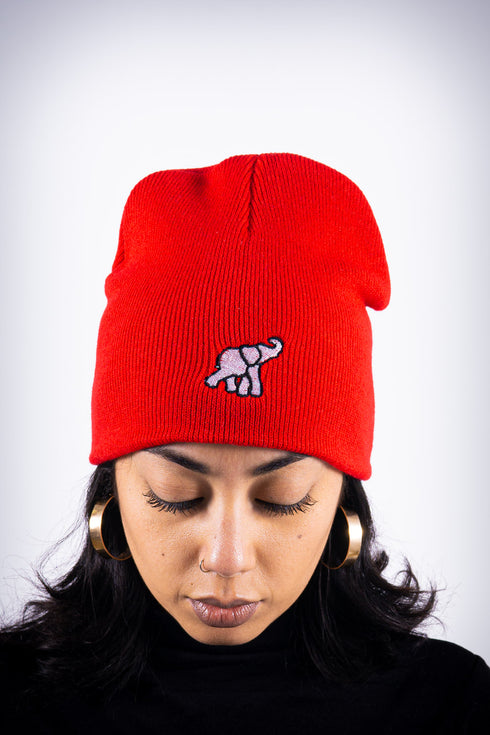 High Goals skullie beanie, red