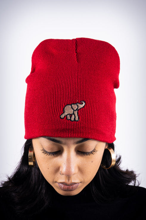 High Goals skullie beanie, crimson