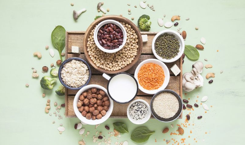 The Guide to Plant Based Proteins