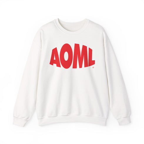 AOML sweatshirt, delta