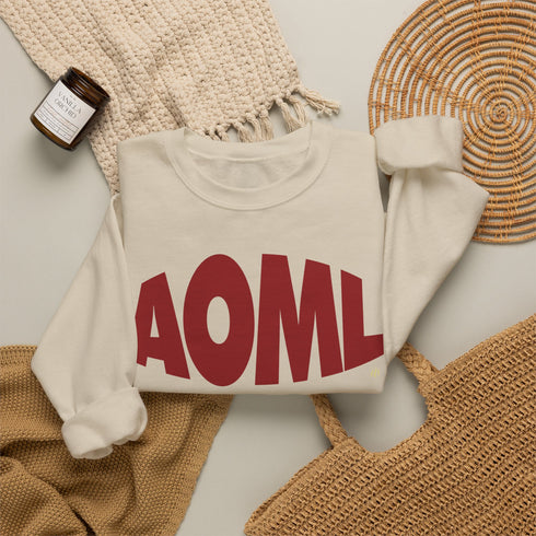 AOML sweatshirt, delta