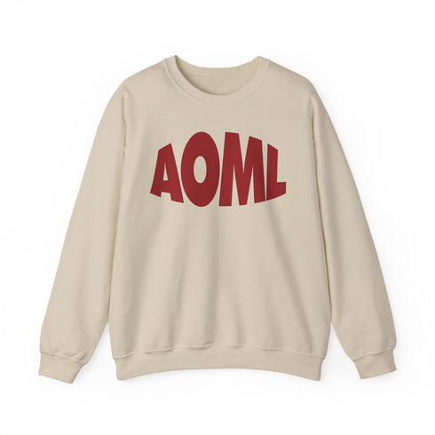 AOML sweatshirt, delta