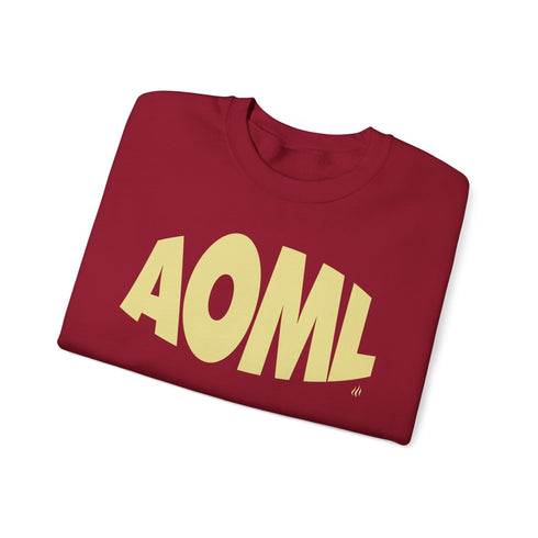 AOML sweatshirt, delta