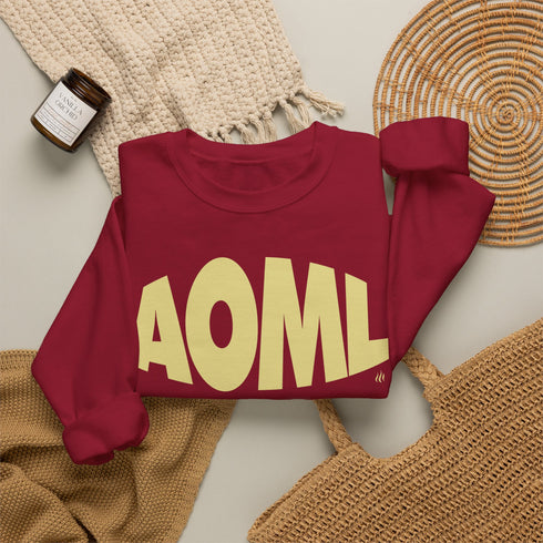 AOML sweatshirt, delta