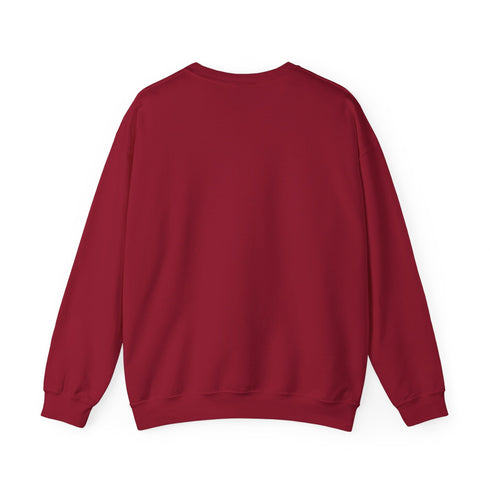 AOML sweatshirt, delta