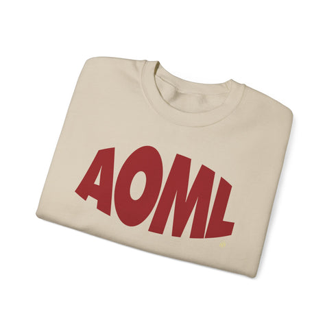 AOML sweatshirt, delta
