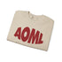 AOML sweatshirt, delta