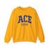 ACE Club sweatshirt, sgrho