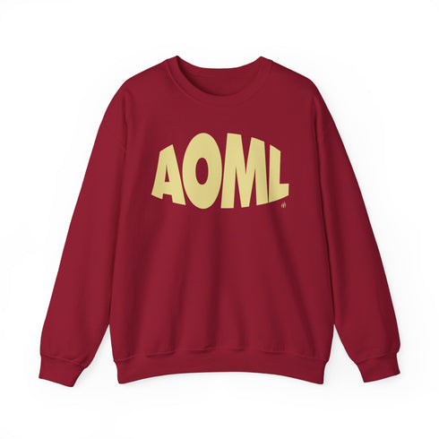 AOML sweatshirt, delta