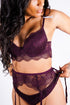 Sabrina's Lace Bra Set, Plum
