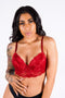 Carla's Lace Push-Up Bra, Crimson