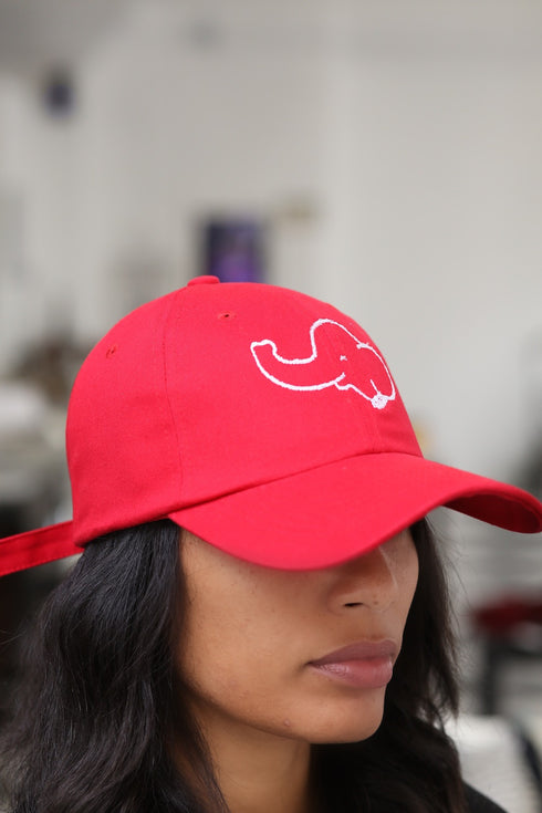 Trunks Up polo dad cap, red