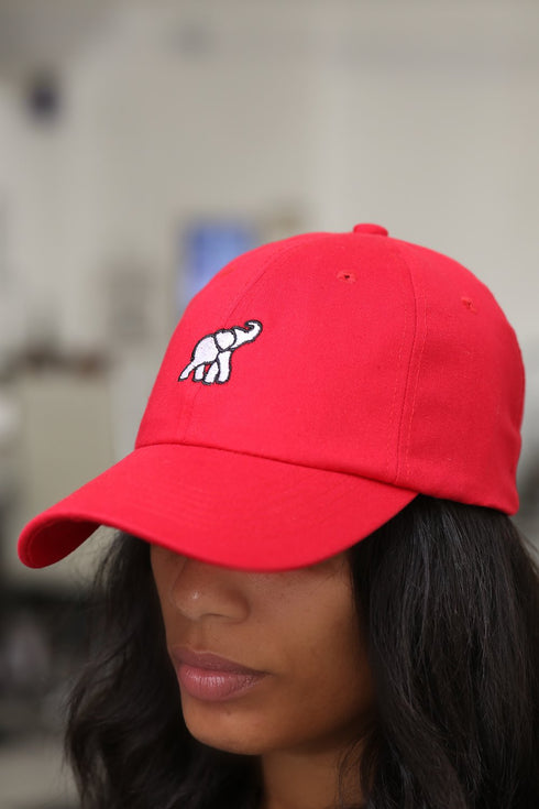 High Goals polo dad cap, red