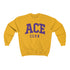 ACE Club sweatshirt, omega